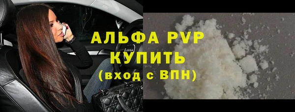 прущие грибы Волосово