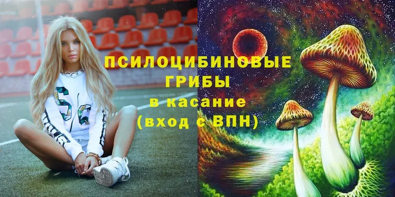 гидра как войти  где купить наркотик  Анапа  Галлюциногенные грибы MAGIC MUSHROOMS 